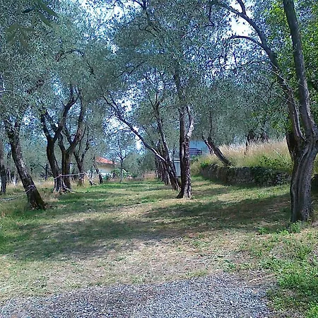 Domus Antiqua